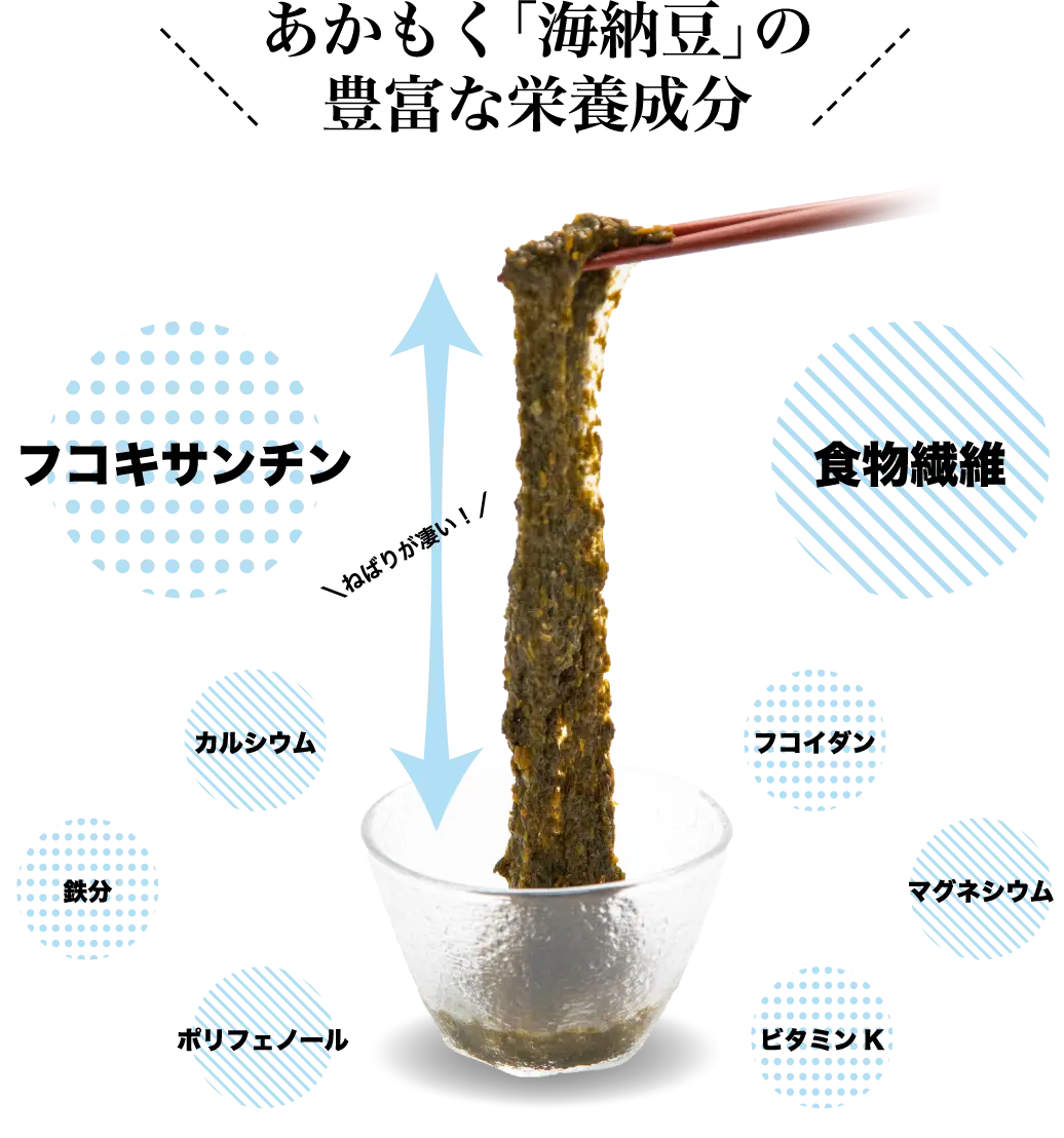 あかもく「海納豆」の豊富な栄養成分
